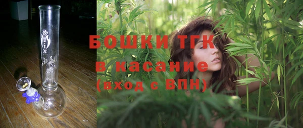 шишки Алексеевка
