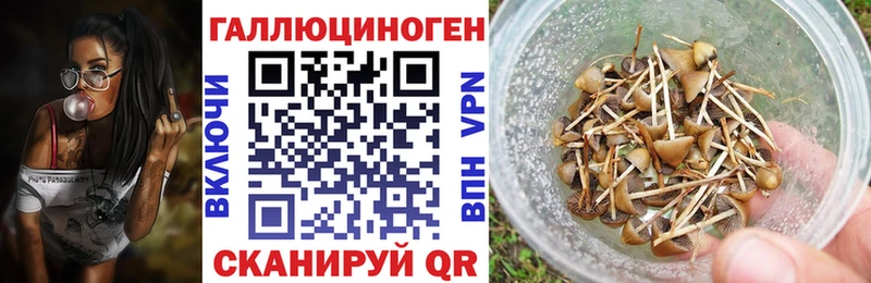 ОМГ ОМГ как войти  Каменск-Уральский  Псилоцибиновые грибы GOLDEN TEACHER  даркнет сайт 