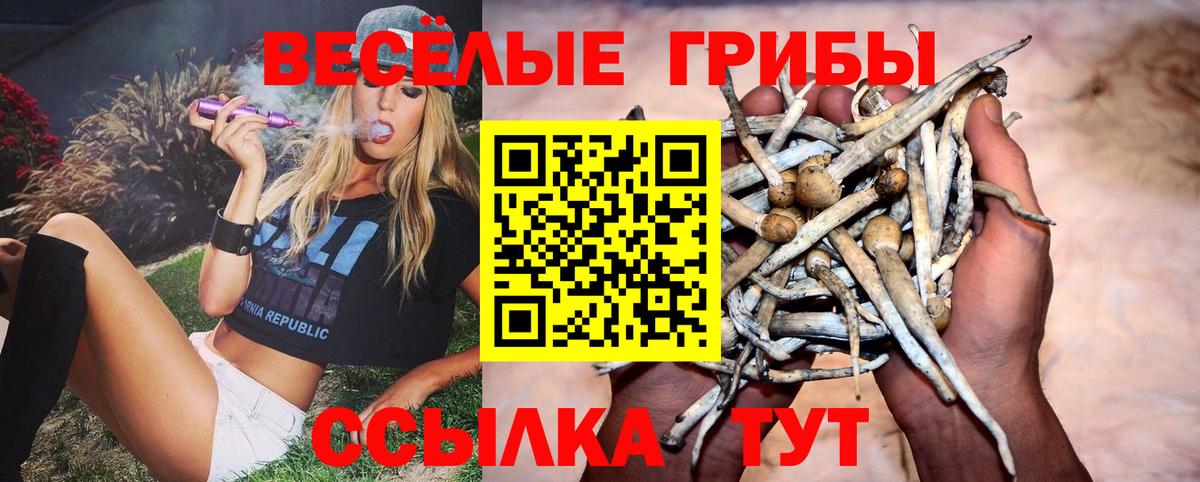 Псилоцибиновые грибы Psilocybine cubensis Каменск-Уральский